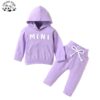 Wholesale Custom logo 2pcs Pullover Hoodies Suit and Pants Kids Clothing Sets for Girls