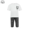 Wholesale Summer Casual Two-Piece Sets Short-Sleeved Tops Shorts Cotton Fabric Cartoons Logo Designs Boys Clothing Sets