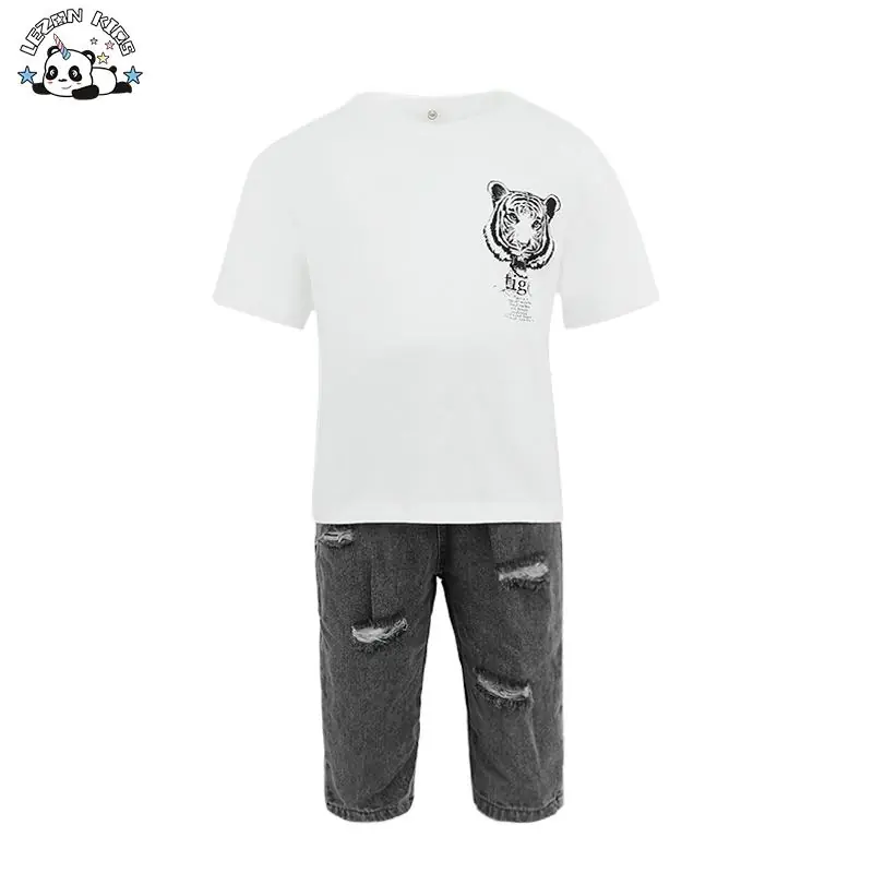 Wholesale Summer Casual Two-Piece Sets Short-Sleeved Tops Shorts Cotton Fabric Cartoons Logo Designs Boys Clothing Sets