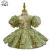 Customizable Factory Price Luxury Birthday Princess Dress Lovely Flower Girl Dress Green Sequin Tutu Dress