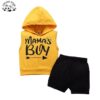 Factory Direct Price Sleeveless Hoodie Pullover Shorts Boys Clothing Sets for 4 to 12 Years Old