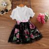 Kids Clothing Girls Cotton Polyester Ruffle Collar Sleeve Shirt Tulle Flower Print Skirt Girls Set Dresses for Kids Girls Custom - Image 2