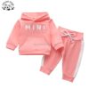 Wholesale Custom logo 2pcs Pullover Hoodies Suit and Pants Kids Clothing Sets for Girls - Image 2