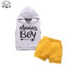 Factory Direct Price Sleeveless Hoodie Pullover Shorts Boys Clothing Sets for 4 to 12 Years Old - Image 2