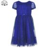 Elegant Customizable Design Girls Short Sleeves Long Dress Summer Princess Dress for Girl - Image 3