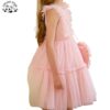 ODM Customized Logo Pink Tulle Dress Girls Sleeveless Ruffled Layered Formal Party Dress - Image 4
