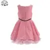 2024 New Spring Girls pink Puff Dress Suit Sweet Little Girl Princess Dress Suit for 4-12T - Image 4
